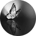 21CE41 SREEDEVI