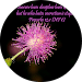 maheshwari m