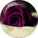 Ashma Fathima